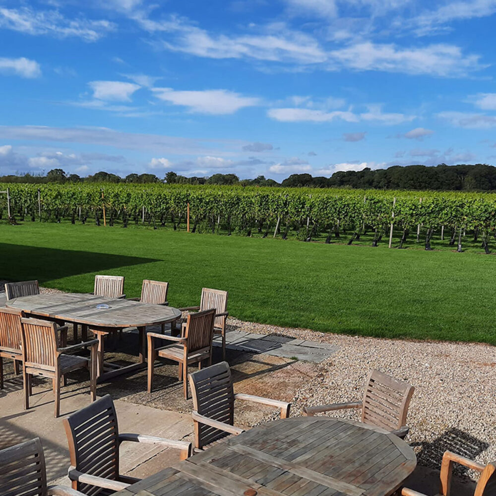 Picnic tables next to a vineyard