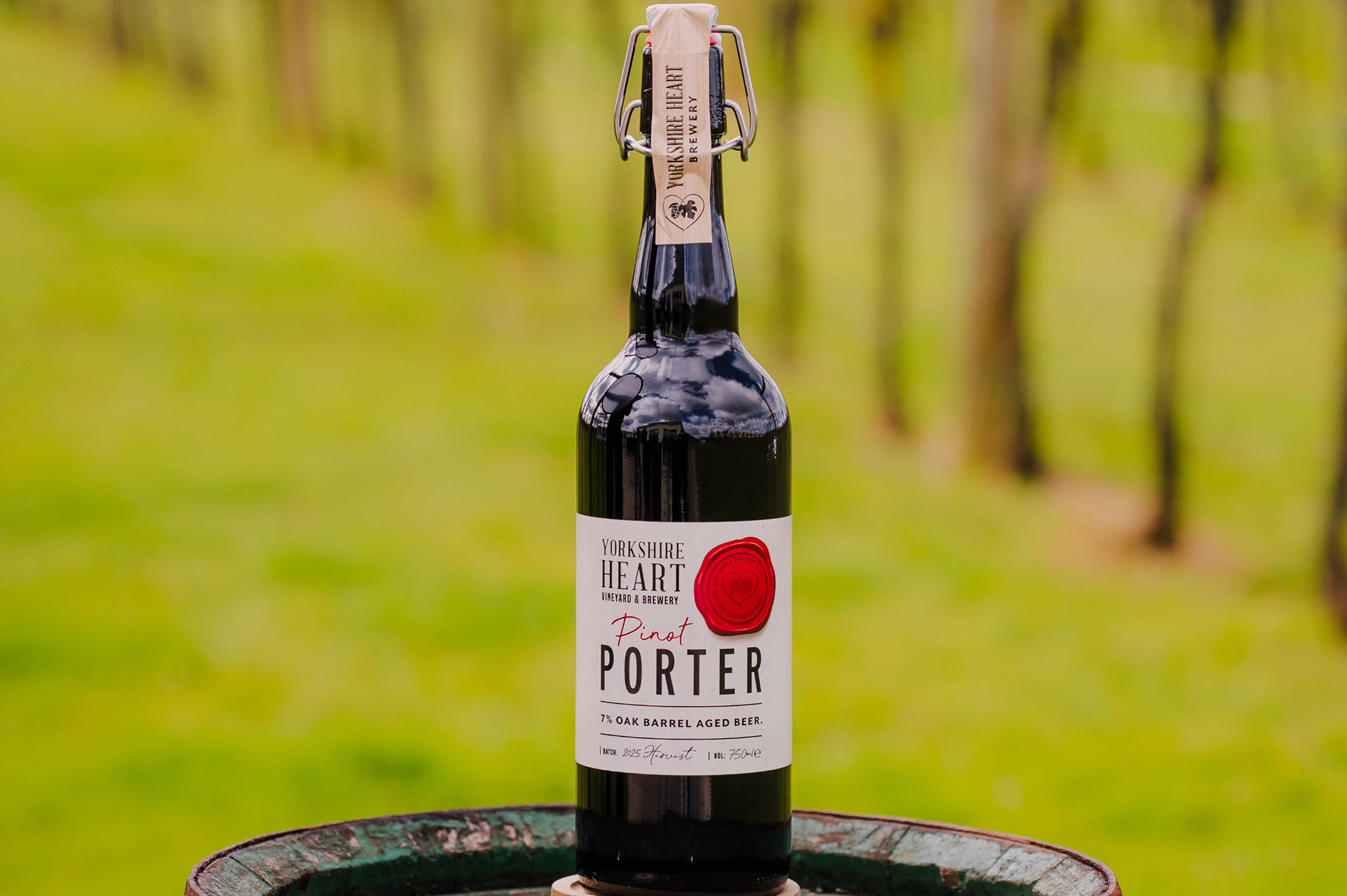 Pinot Porter Review