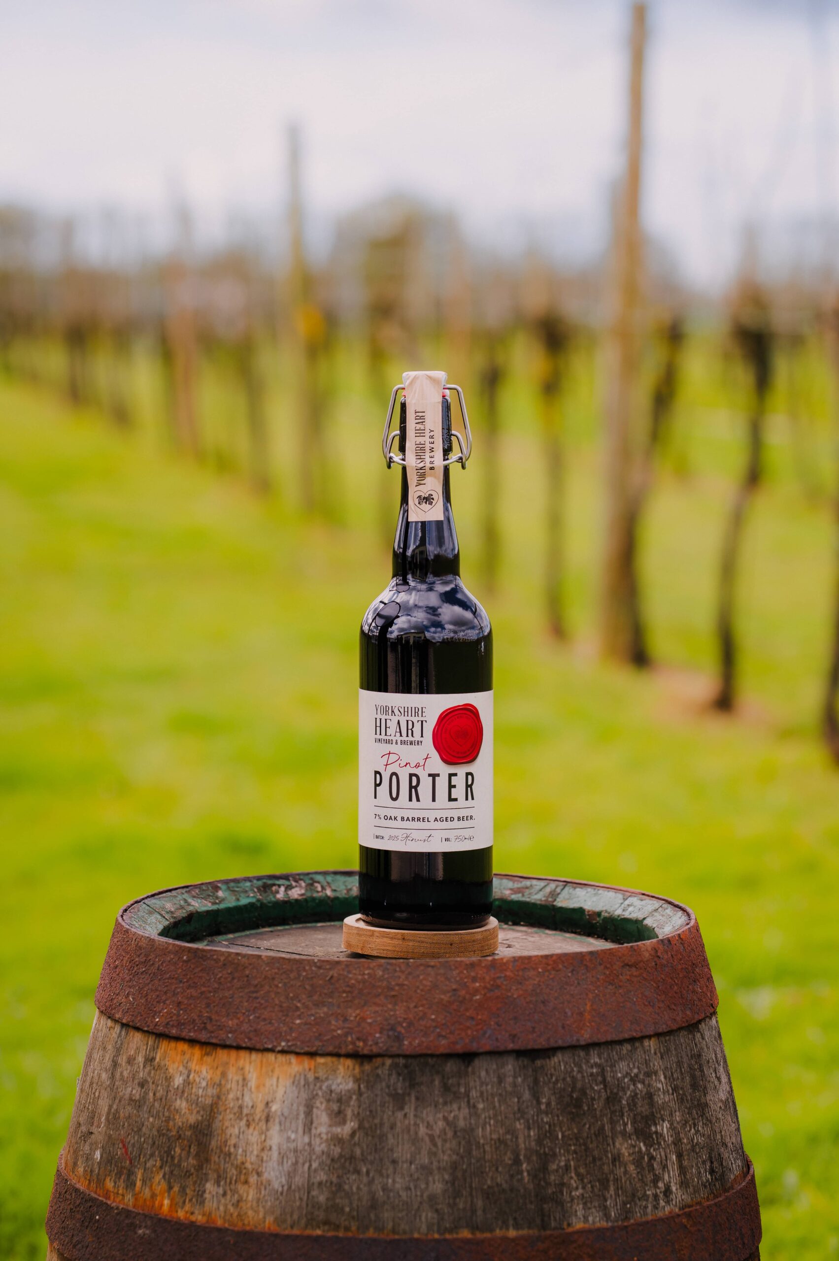 Pinot Porter