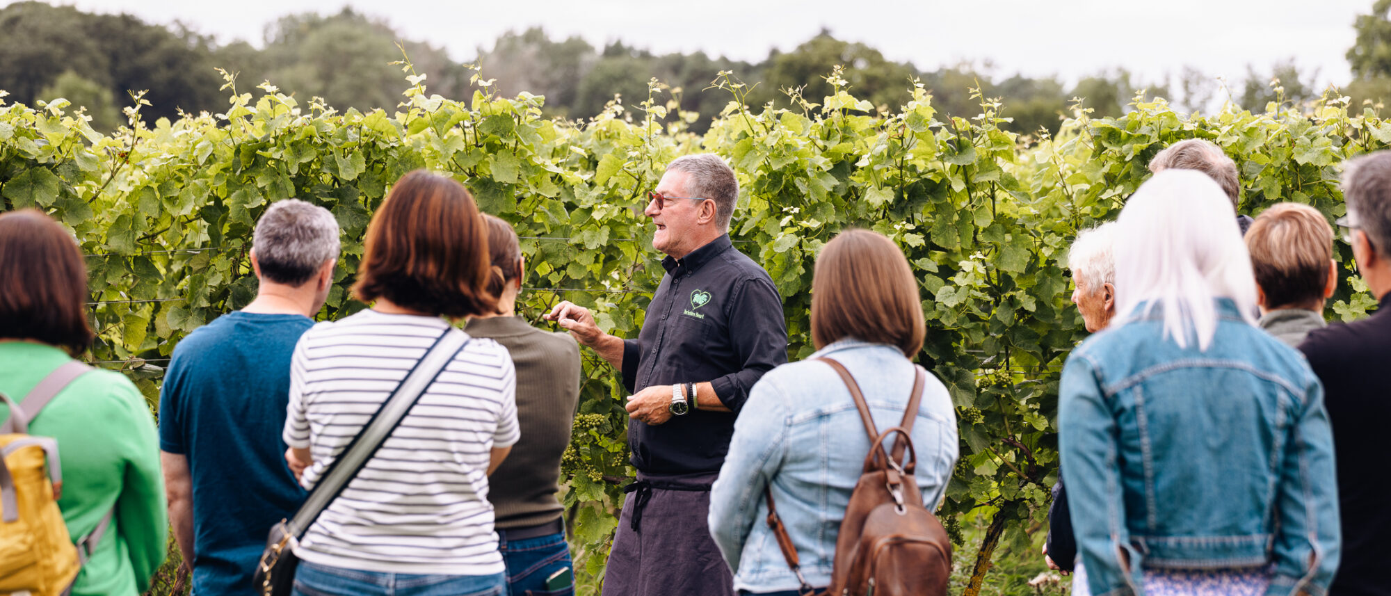 Wine Tasting Experience & Vineyard Tour