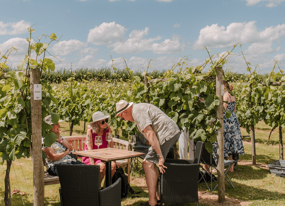 Customers at the Band at the Yorkshire Wine & Fizz Festival