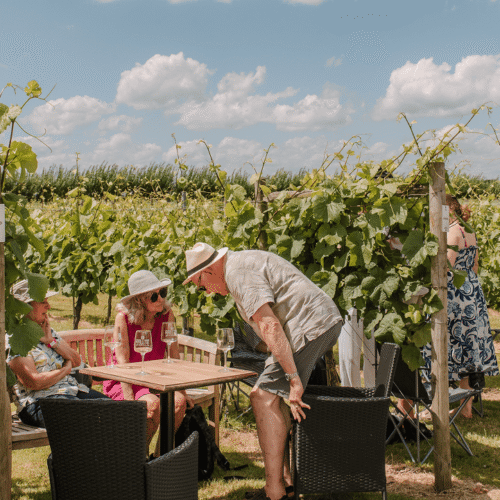 Customers at the Band at the Yorkshire Wine & Fizz Festival