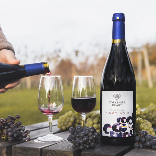 Best Gifts for Wine Lovers