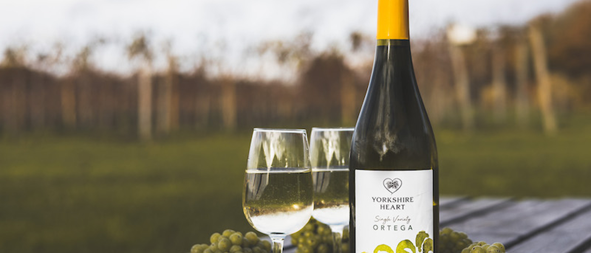 Best-Wines-to-Drink-in-the-Summer