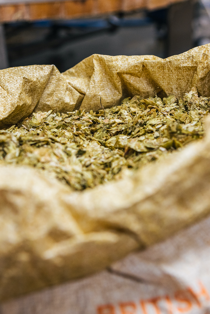 How The Beer Brewing Process Works