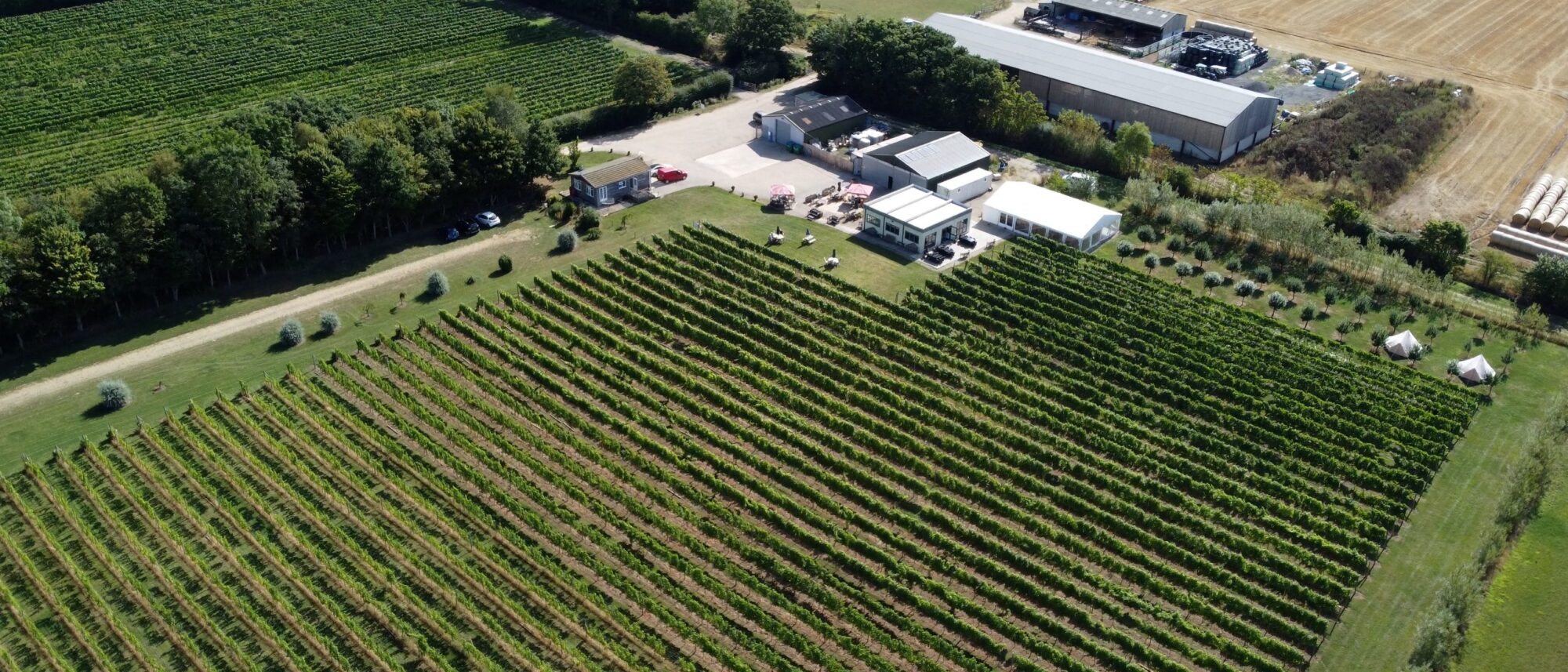 Yorkshire Heart Vineyard
