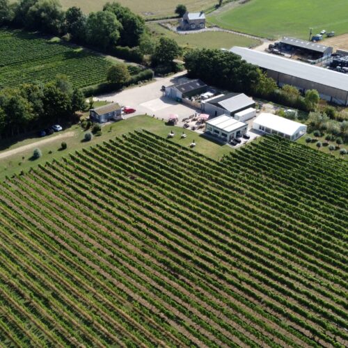 Yorkshire Heart Vineyard