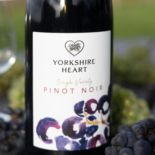 What to expect from wine tasting