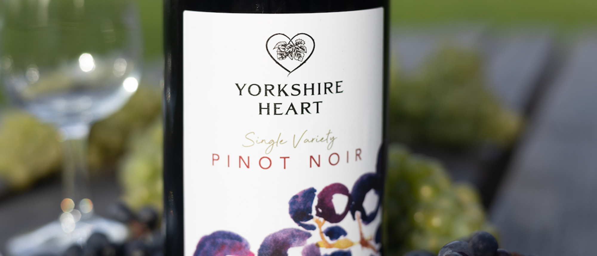 What-to-expect-from-wine-tasting-banner