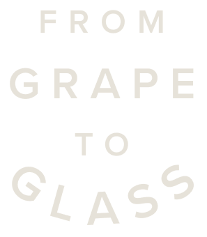 From Grape To Glass