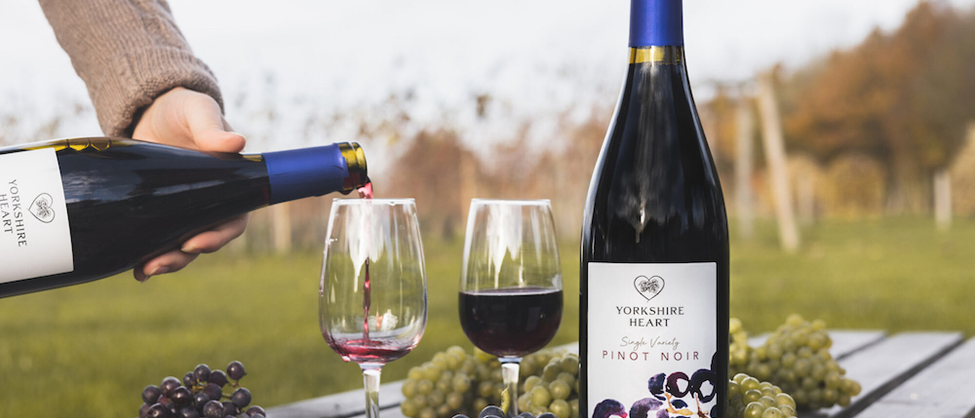 Pinot noir being poured into glasses