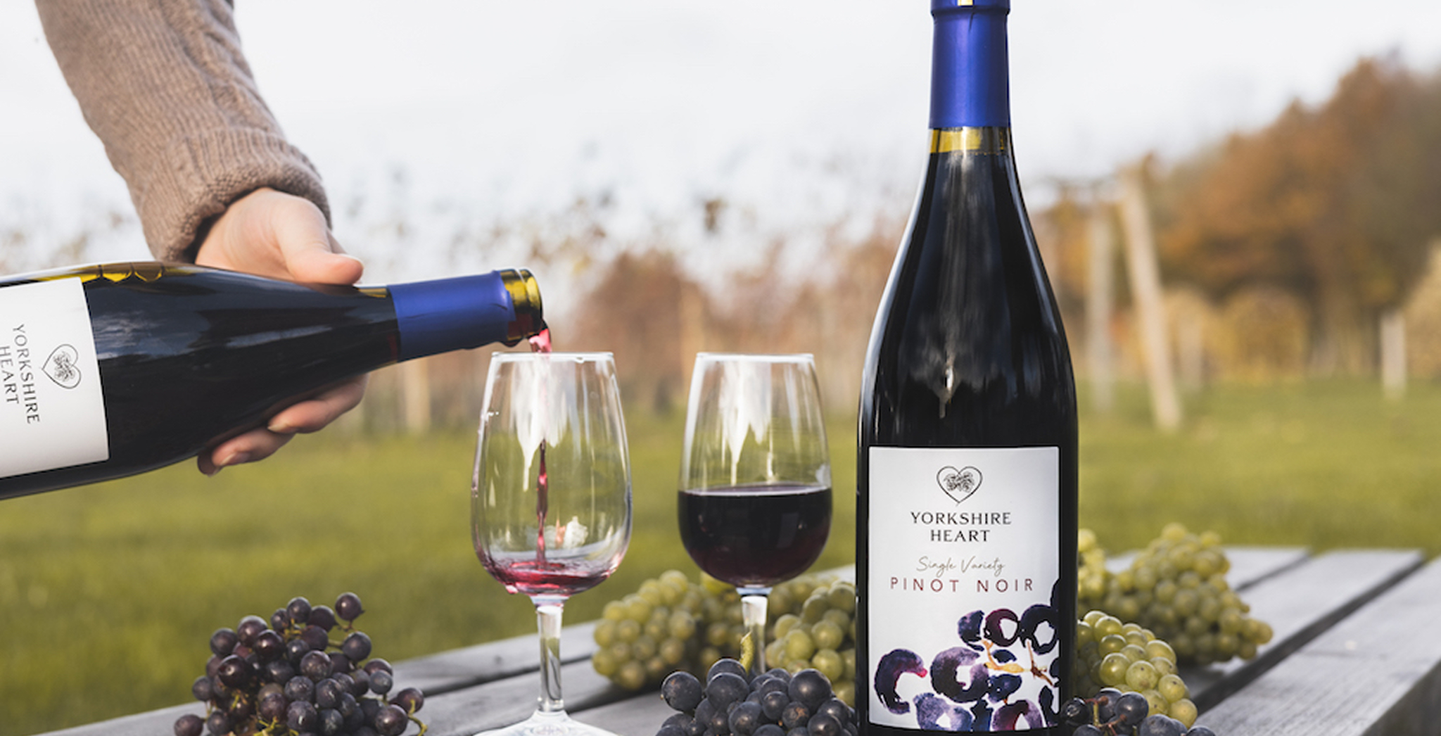 Pinot noir being poured into glasses