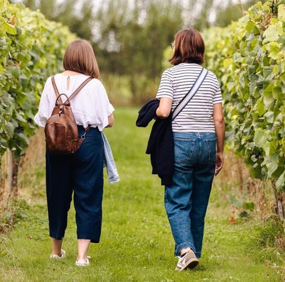 Visitors amongst the vines