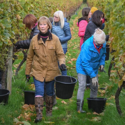 workers-collecting-buckets