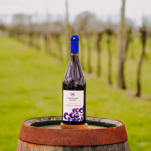 Pinot Noir Yorkshire Heart