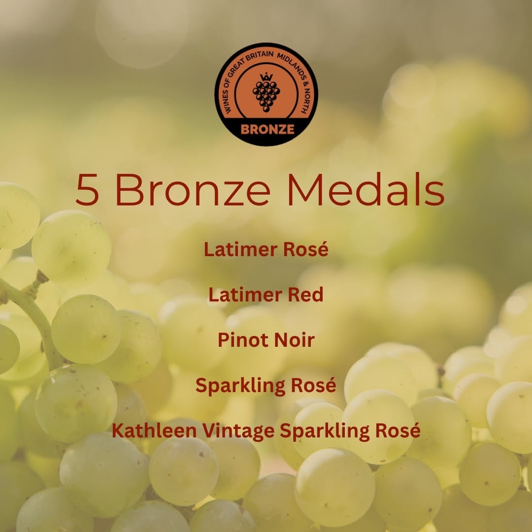Bronze Medals at GB wine Awards