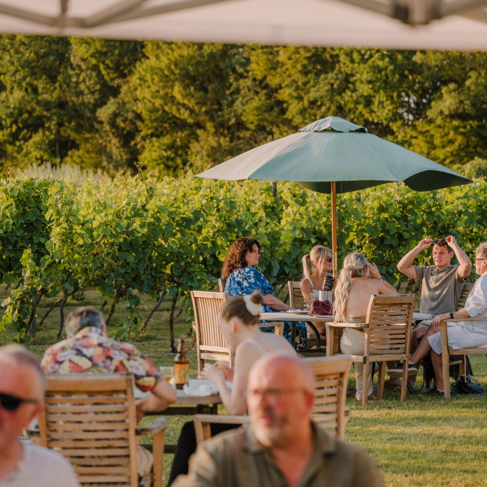 vineyard-wine-selection
