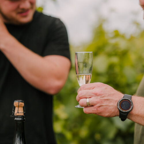 Yorkshire Heart wine terms